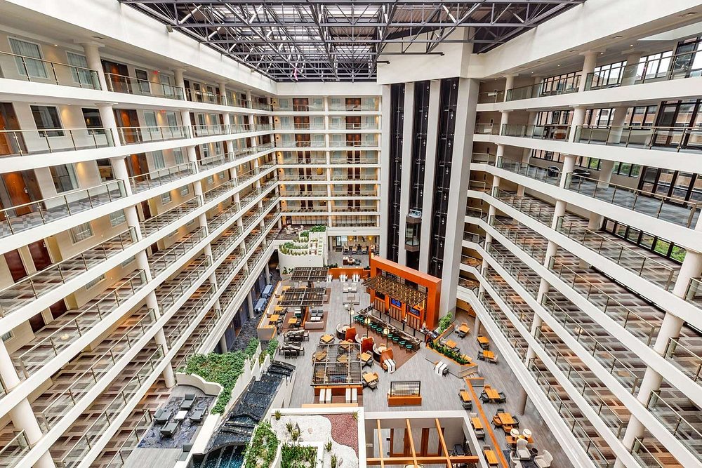 hilton district1