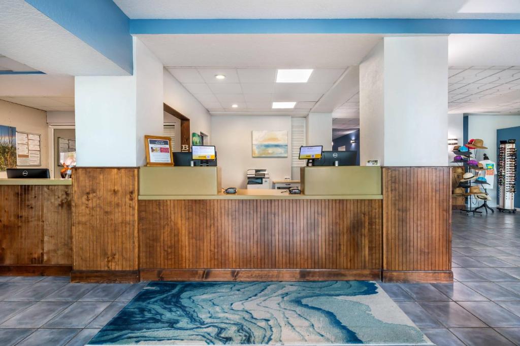 coconut palms7