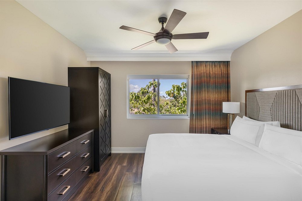 hilton kings land2