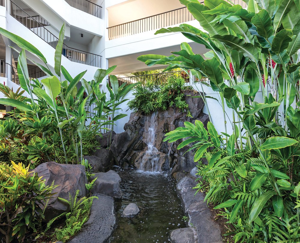 wyndham royal sea cliff7